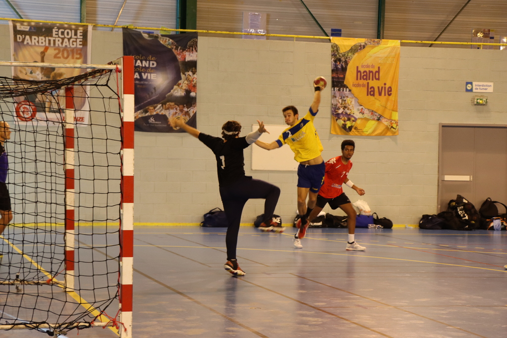 gymnase handball tours